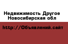 Недвижимость Другое. Новосибирская обл.